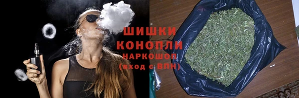 крисы Инта