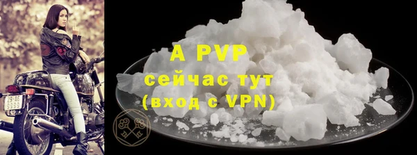 2c-b Инсар