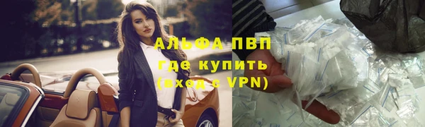 2c-b Инсар