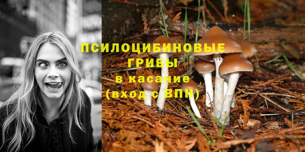 крисы Инта