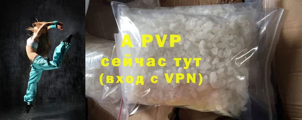 крисы Инта