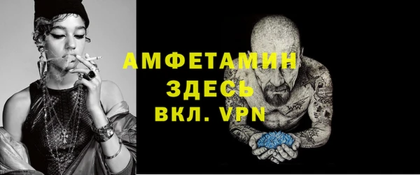 крисы Инта