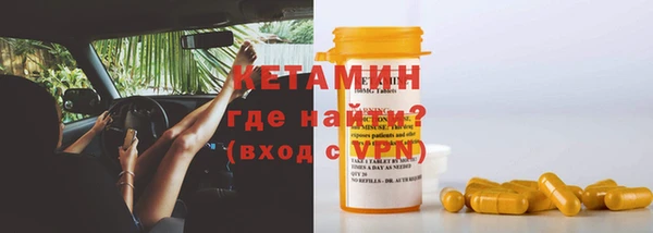 крисы Инта