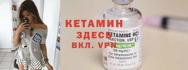 крисы Инта