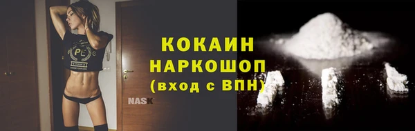 крисы Инта