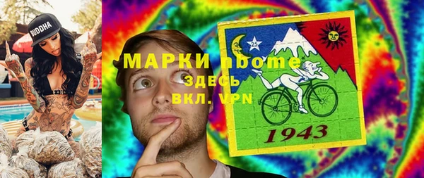крисы Инта