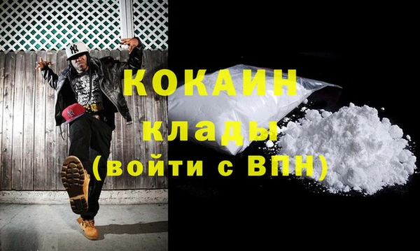 крисы Инта