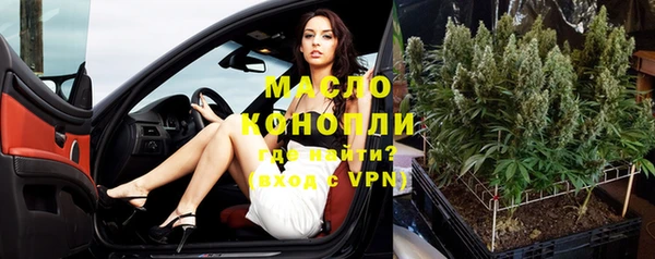 крисы Инта