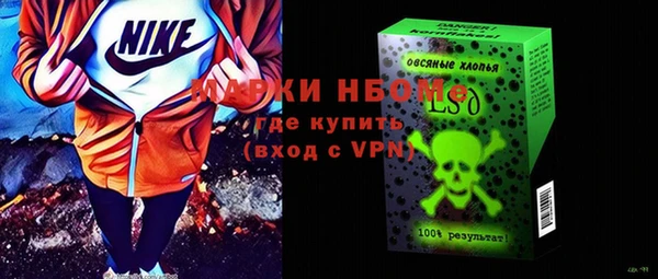 2c-b Инсар