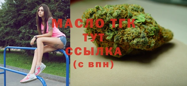 крисы Инта